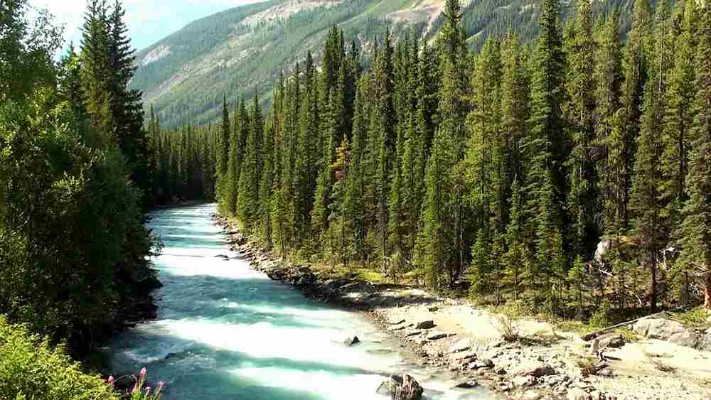 Image from the YouTube video 'Banff National Park, Alberta, Canada.'