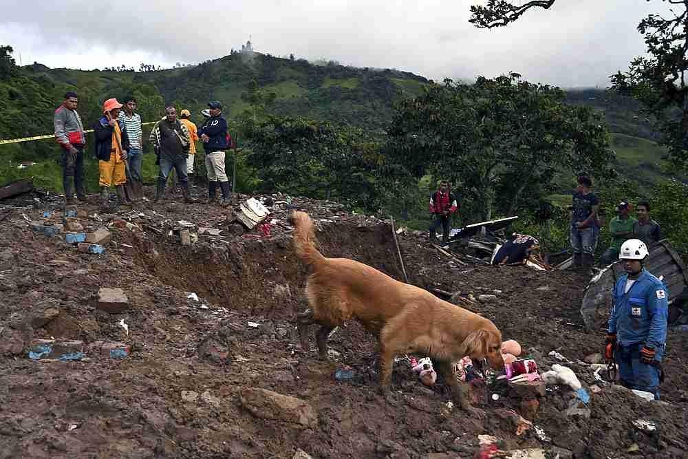 Manuel Bermudez (right), member of the Colombian Red Cross and his dog Gretta, search for victims after a landslide in Rosas, Valle del Cauca department, in southwestern Colombia April 21, 2019. u00e2u20acu201d AFP pic