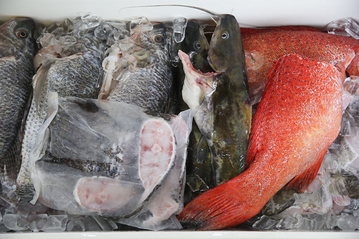 There's only four types of fish available which Yong personally selects to ensure they are fresh.