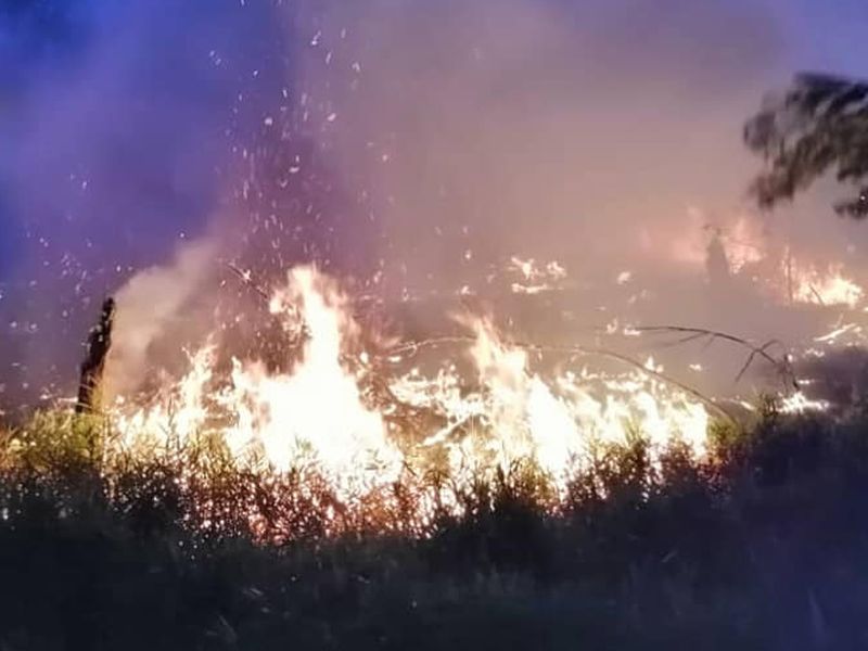 Anggota bomba berdepan masalah sumber air terhad yang menyukarkan operasi memadam kebakaran hutan di Kuantan. u00e2u20acu201d Foto ihsan Facebook/Bomba & Penyelamat Negeri Pahang