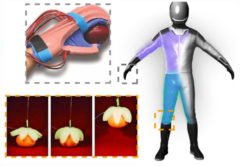 Nasa to fund the first stage of development of the SmartSuit. u00e2u20acu2022 AFP pic