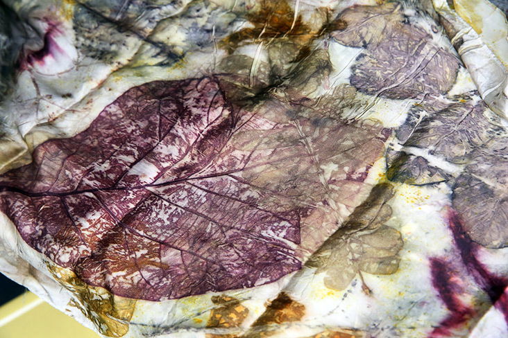After steaming, the pigments from the leaves will leave imprints on the cloth creating beautiful impressions.