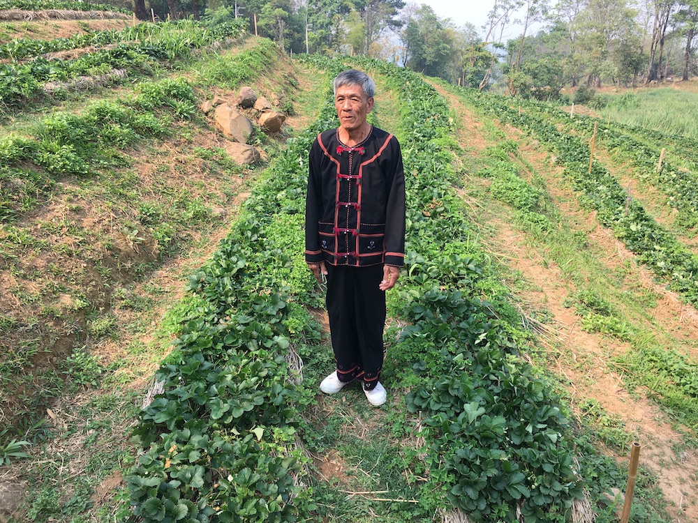 Somchai Sophonsookpaiboon stands in an organic farm which is part of the Doi Tung Development Project in northern Thailand April 6, 2019. u00e2u20acu201d Thomson Reuters Foundation/Rina Chandran pic