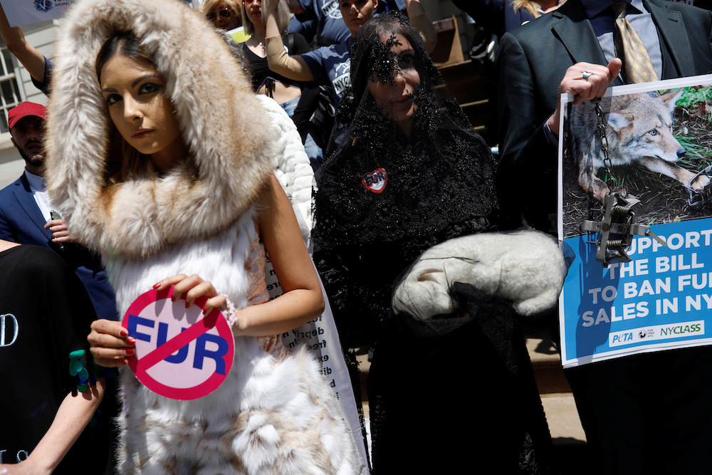 Supporters of a ban on fur sales stand on the steps of City Hall in New York May 15, 2019. u00e2u20acu201d Reuters pic