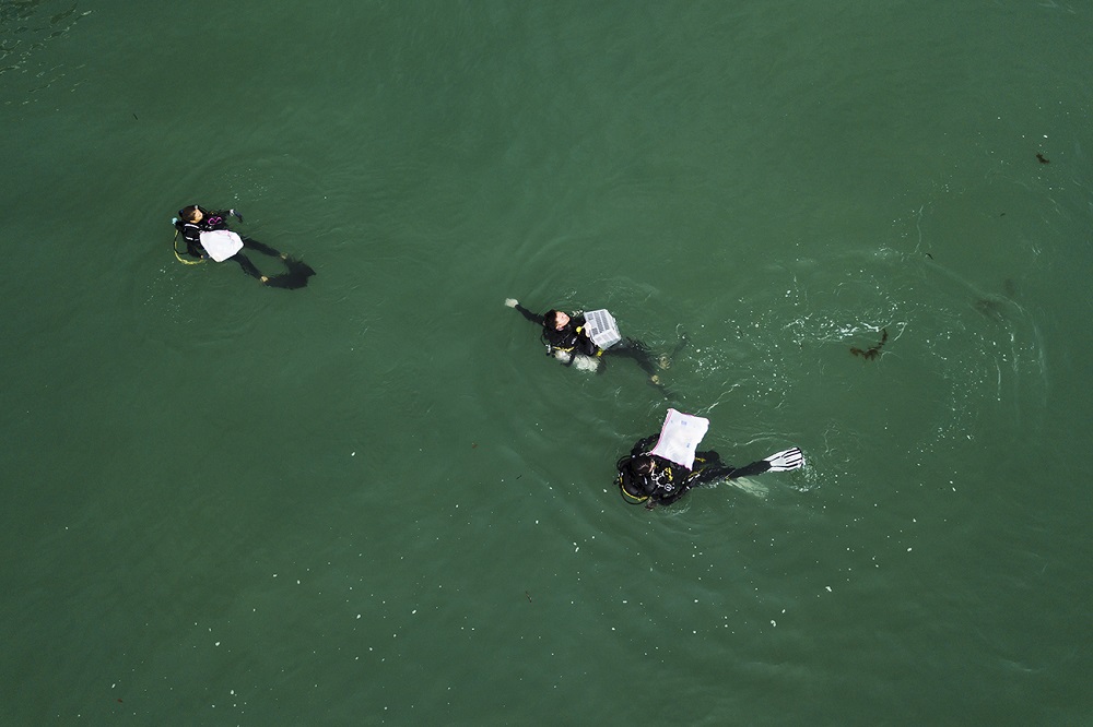 Divers and volunteers from Our Singapore Reefs carrying bags and baskets with them to collect trash in the waters around Lazarus Island on May 11, 2019. — TODAY pic