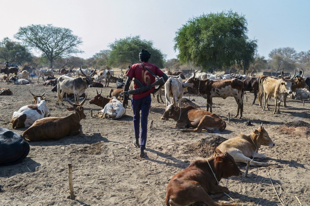 A man carrying a gun walks past cattle at Kirgui village in Udier, on March 9, 2019. u00e2u20acu201d AFP pic