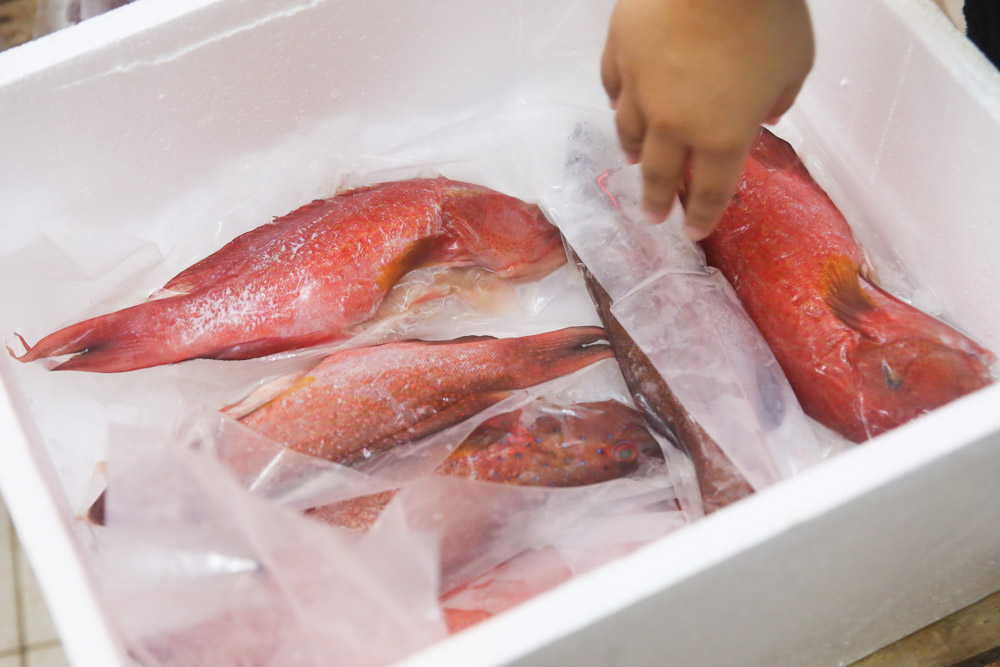 Fish which has been scaled, gutted and cleaned are packed for delivery to customers. — Picture by Choo Choy May