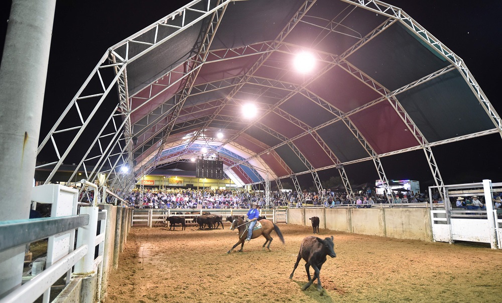 This photo taken on May 4, 2019 shows a competitor taking part in the sport of campdrafting, a unique Australian sport involving a horse and rider working cattle in a completion u00e2u20acu201d in the central Queensland town of Rockhampton. u00e2u20acu201d AFP pic         
