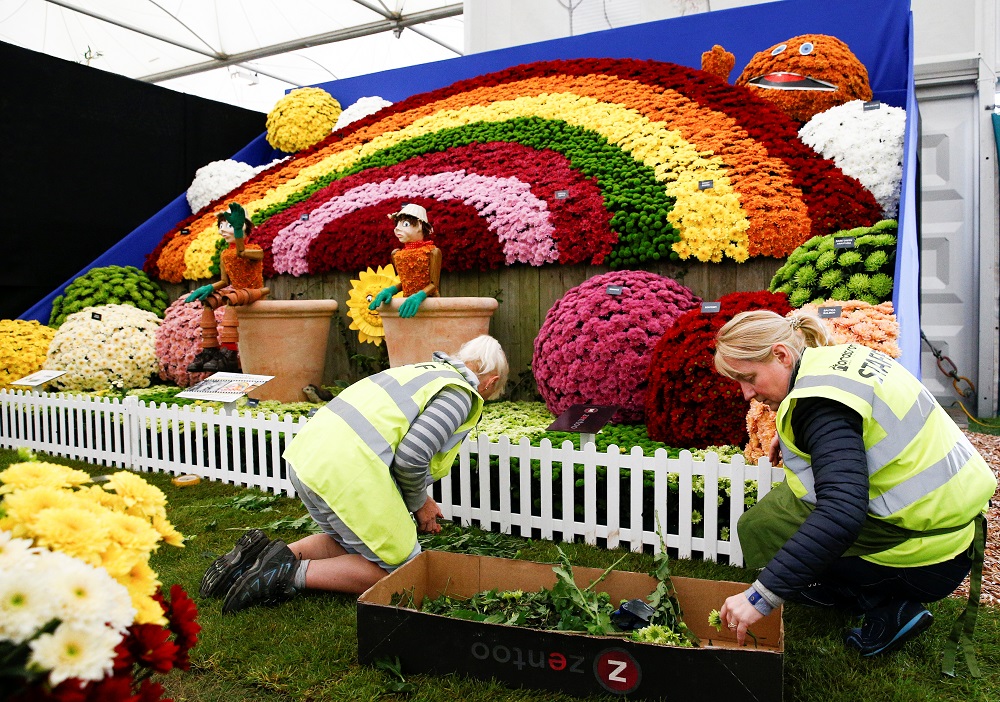 Workers arrange a floral display during the final day of preparations at the RHS Chelsea Flower Show in London May 19, 2019. — Reuters pic       