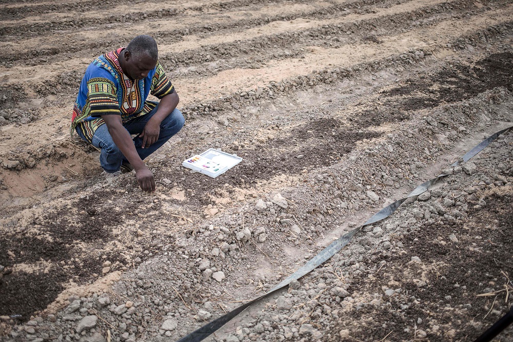 Farmer and environmental activist from Central African Republic Pascal Bida Koyagbele looks at soil samples in Yaka ti Bida organic farm and training centre near Bangui February 22, 2019. u00e2u20acu201d AFP pic  