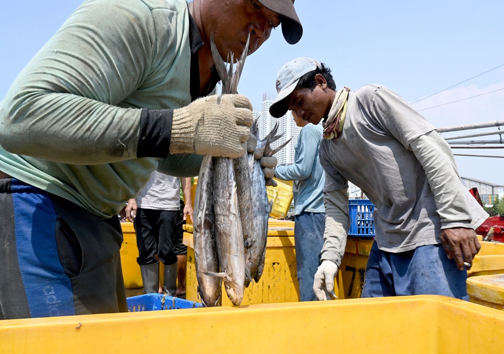This picture taken on May 5, 2019 shows Indonesian fishermen unloading their catch at the port in Jakarta. u00e2u20acu201d AFP pic           