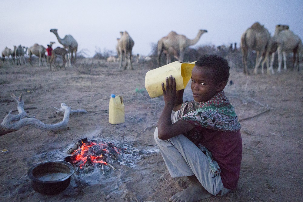 A young camel herder in the desert in northern Kenya is seen drinking camel milk at dawn in this picture taken February 8 2019. u00e2u20acu201d Thomson Reuters Foundation pic