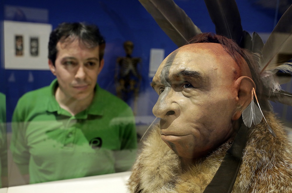 A visitor looks at u00e2u20acu02dcEl Neandertal Emplumadou00e2u20acu2122, a scientifically based impression of the face of a Neanderthal. u00e2u20acu201d AFP pic     