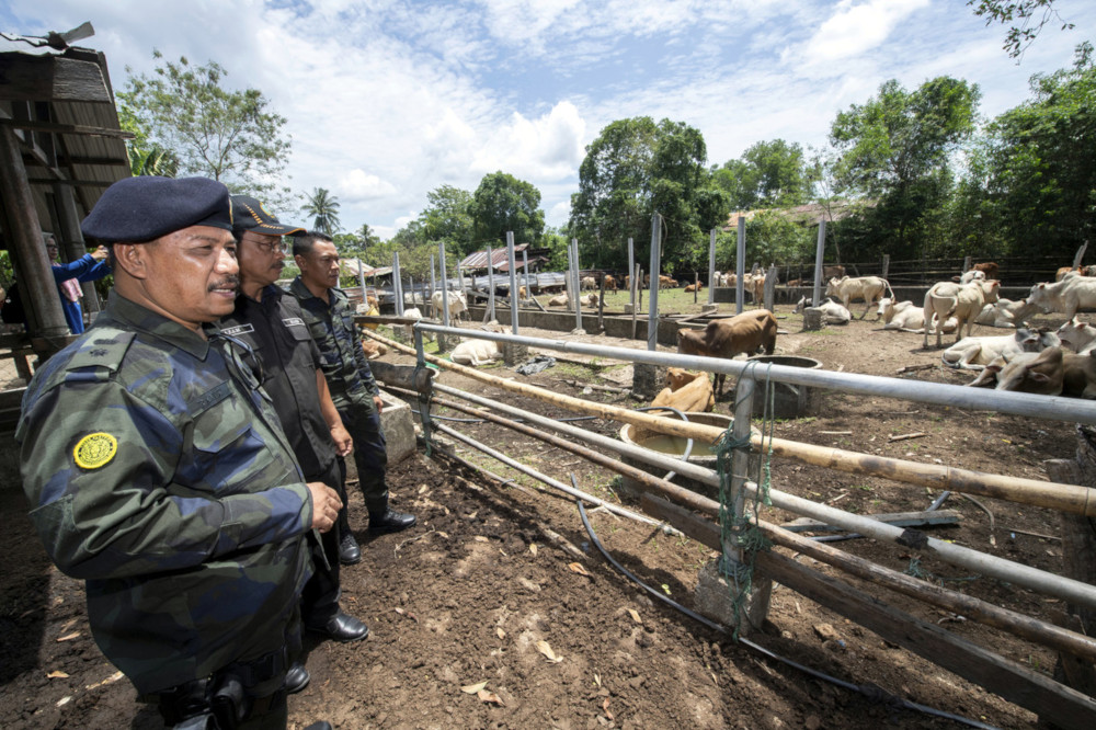 PGA Ninth Battalion commanding officer Supt Ramly Poncho (left) with the seized livestock in Pasir Mas May 20, 2019. u00e2u20acu201d Bernama pic 