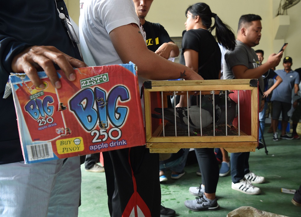 In this photo taken on March 28, 2019, pigeon fanciers wait to register their birds at the office of the Philippine pigeon homing associationu00e2u20acu2122s office, before they take part in the longest homing pigeon race in the Philippines, in Manila. u00e2u20acu201d AFP pic 