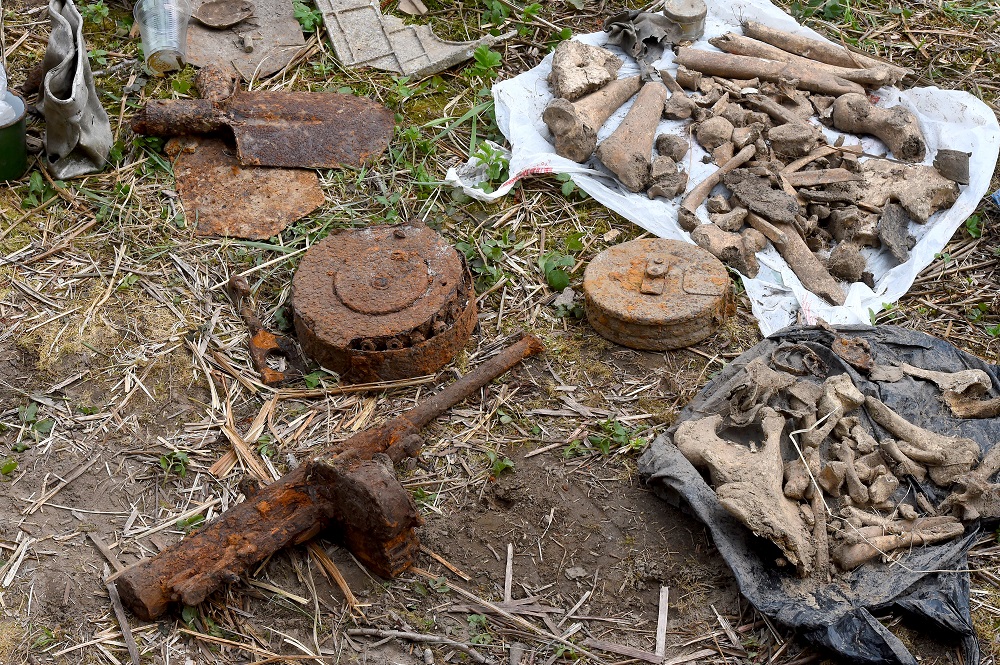 A view of bones and rusty remains of weapons dug out by members of Ingria volunteer search group at WWII battlefields near Sinyavino, 50 km east of Saint Petersburg May 5, 2019. u00e2u20acu2022 AFP pic  