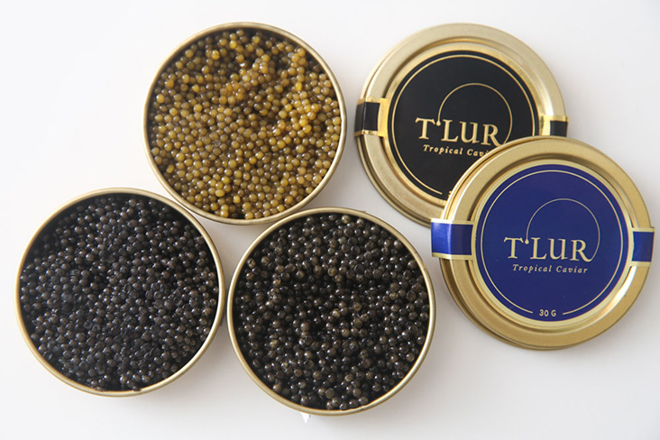 Are you game for the first ever Malaysian hatched caviar from T'lur Caviar?