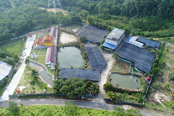 The sturgeon fish farm that spans 3.3 acres is located in Tanjung Malim. Plans are underway to expand. — Picture courtesy of T'lur Caviar