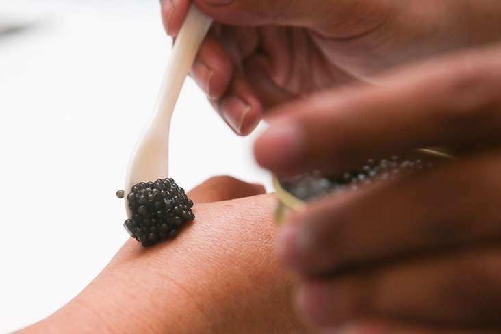 To enjoy the caviar, place a scoop on your hand to let the eggs acclimatise to your body temperature. Pop it into your mouth and use your tongue to slowly pop the eggs to enjoy the flavour.