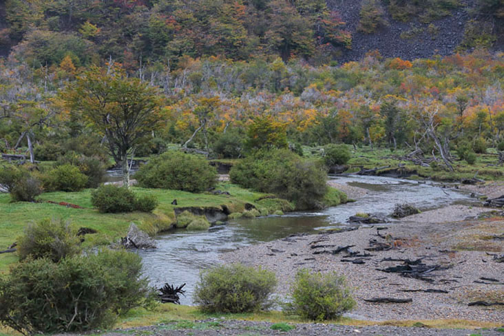 The train route follows the flow of the River Pipo closely