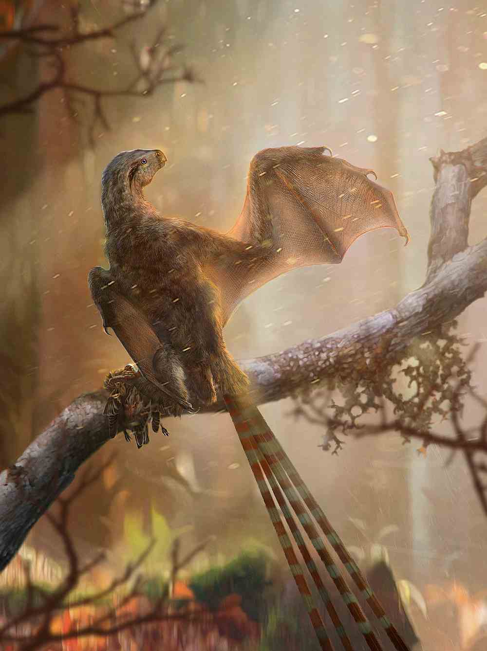 A life reconstruction of the membrane-winged Jurassic Period dinosaur Ambopteryx longibrachium is shown in this image released May 8, 2019. u00e2u20acu201d Chinese Academy of Sciences handout via Reuters