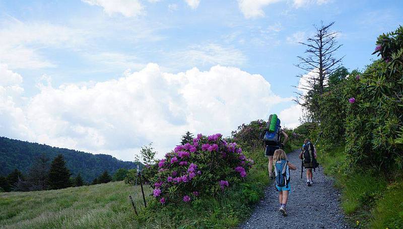 Part of the Appalachian Trail for hikers. u00e2u20acu201d Image courtesy of www.appalachiantrail.org