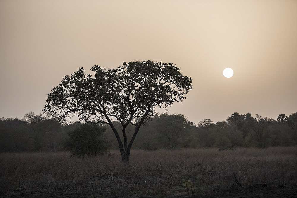The Pendjari National Park near Tanguieta in Benin where two French tourists and their guide disappeared near the Burkina Faso border May 1, 2019. u00e2u20acu201d AFP pic