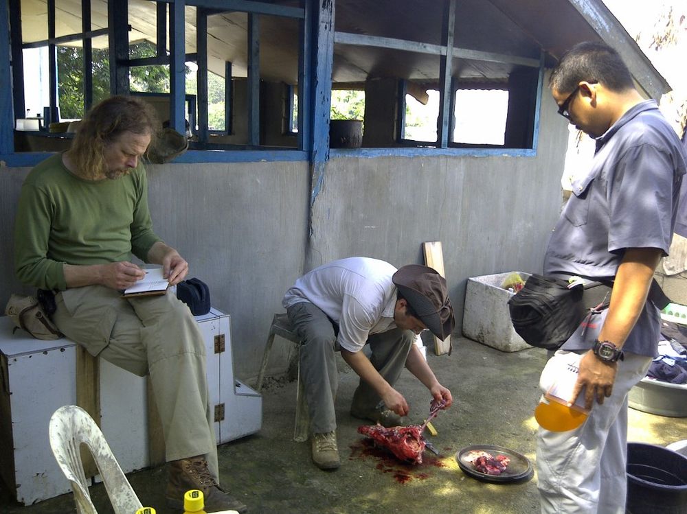 File photo released by Tawi-Tawi police on February 3, 2012 shows bird watchers Swiss Lorenzo Vinciguerra (centre), Dutchman Ewold Horn (left), and Filipino guide Ivan Sarenas (right) preparing their meal in Tawi-Tawi prior to their abduction. u00e2u20acu201d AFP pic