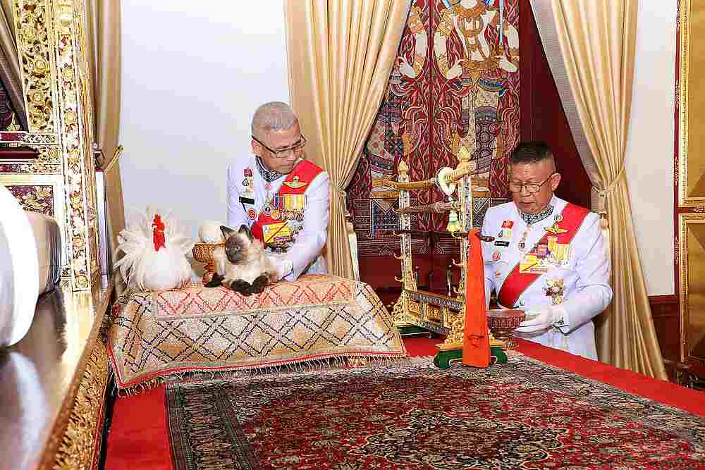 Royal officials place a chicken and a cat next to the bed of Thailand's king during the coronation ceremony inside the Grand Palace, Bangkok May 4, 2019. u00e2u20acu201d Committee on Public Relations of the Coronation of King Rama X pic via Reuters