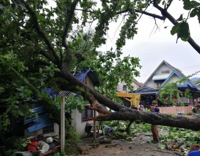 A couple living in this house escaped unhurt when the tree fell on their home. u00e2u20acu201d Picture courtesy of Azrul Mahathir Aziz