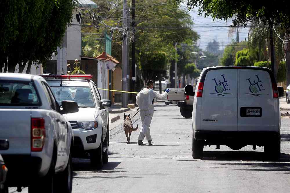 A forensic technician walks with a dog next to the site where human remains were found in the municipality of Zapopan, in Jalisco state, Mexico April 14, 2019. u00e2u20acu201d Reuters pic