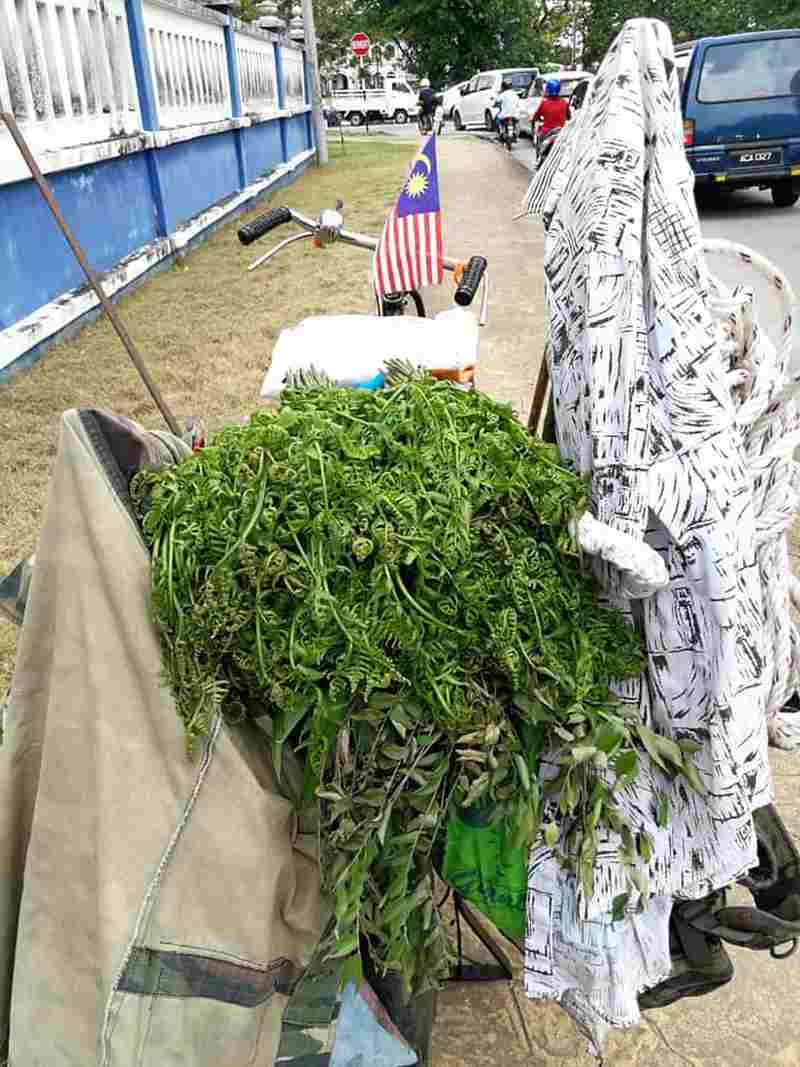 Without a permanent job, Husin sells ulam and vegetables which he collects from around Taiping. ― Picture via Facebook/Majlis Perbandaran Taiping