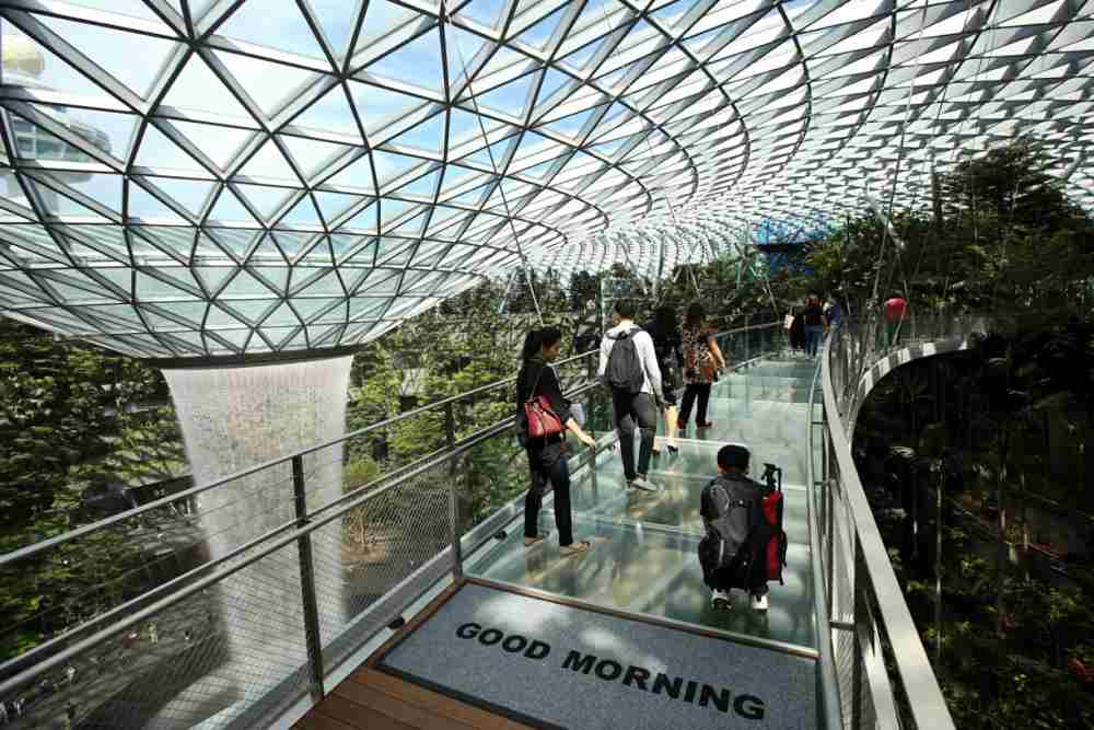 The 50m-long Canopy Bridge. ― Picture by Nuria Ling via TODAY