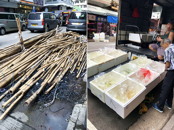 A pile of bamboo rods used for Hong Kong’s traditional practice of bamboo scaffolding (left). Arrive early and catch the delivery trucks with polystyrene boxes filled with tropical fish (right).