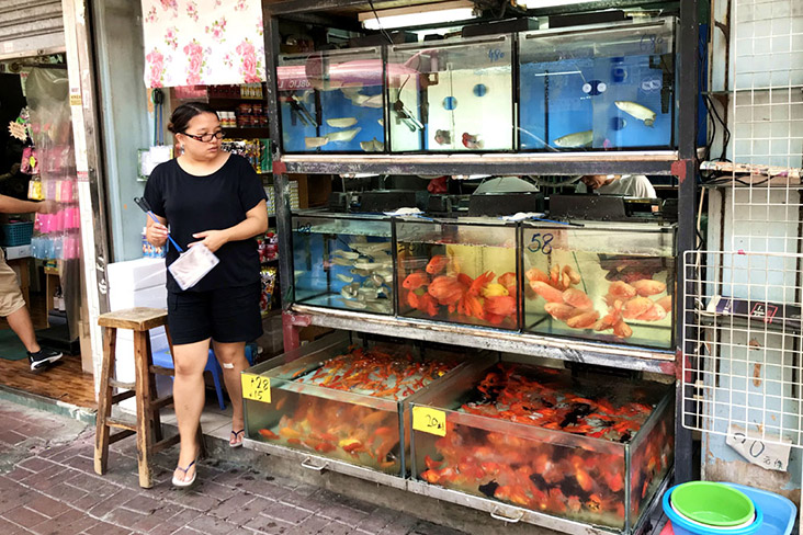 Aquariums with all manner of freshwater and marine fish.