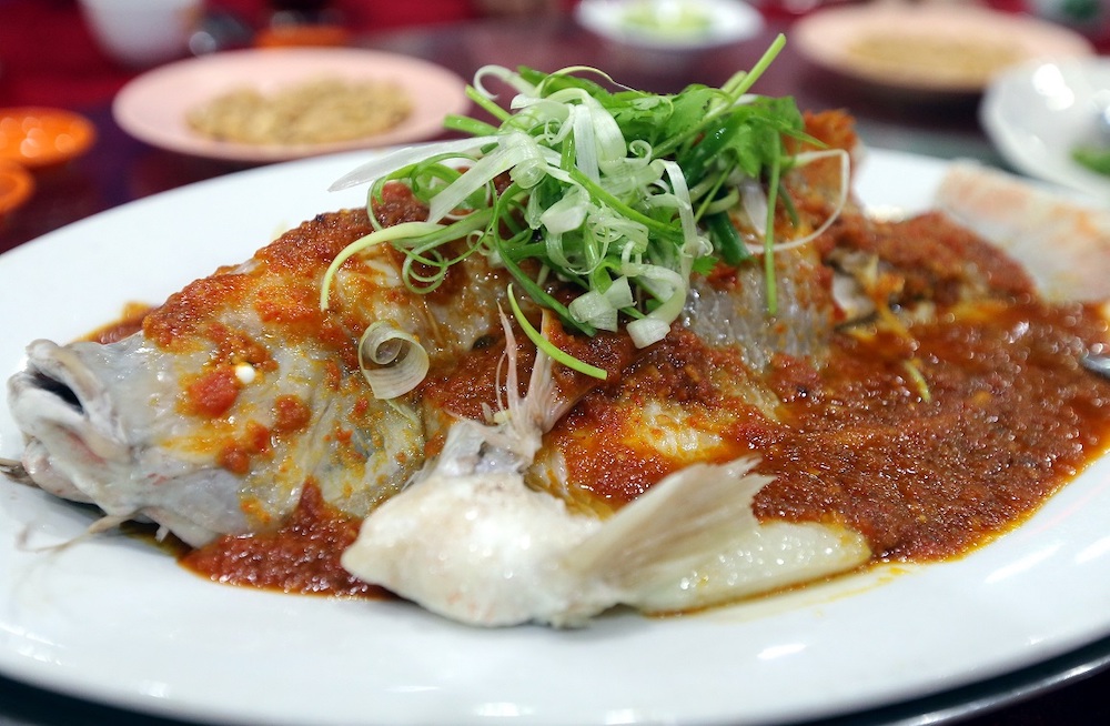 Groupers are in decline due to overfishing according to Reef Check Malaysiau00e2u20acu2122s annual survey. u00e2u20acu201d Picture by Farhan Najib