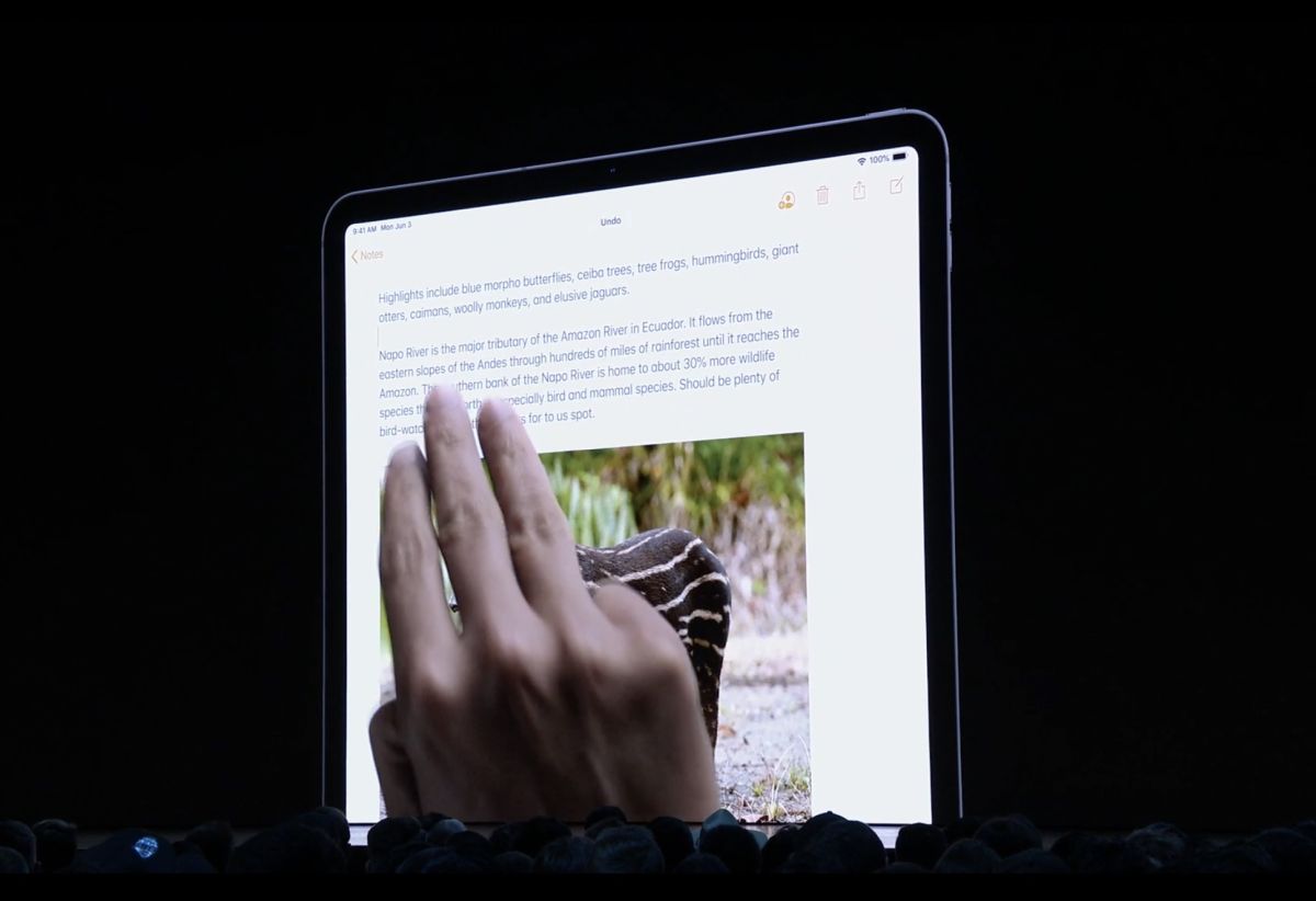 iPadOS has introduced a a couple of familiar hand gestures to enable a better text editing experience. ― Picture via SoyaCincau