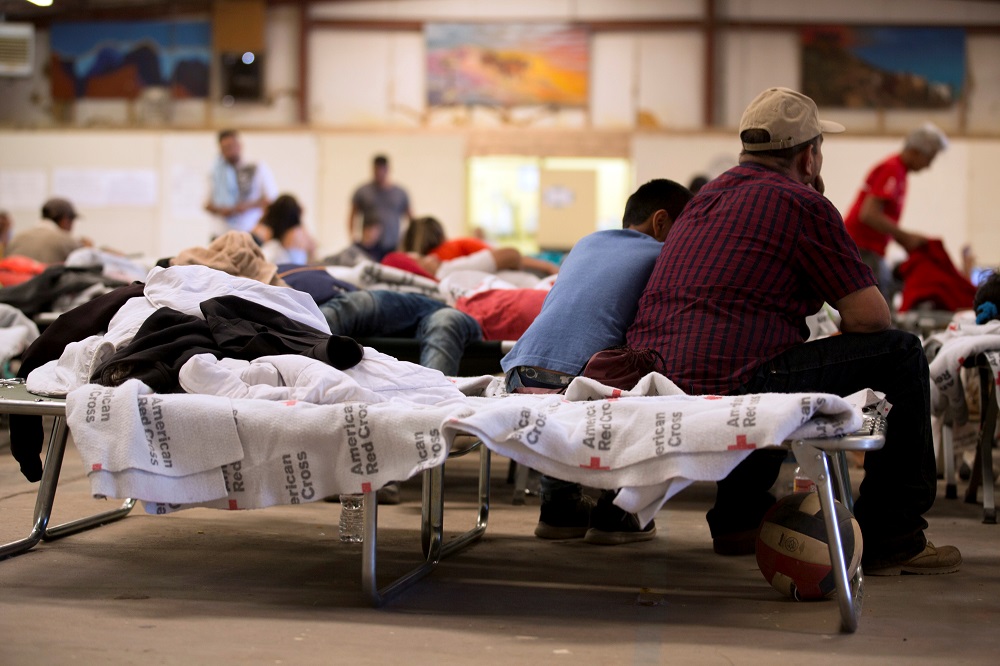 Migrants sit on a cot inside a shelter at the Southwestern New Mexico State Fairgrounds in Deming, New Mexico May 27, 2019. u00e2u20acu201d Reuters pic
