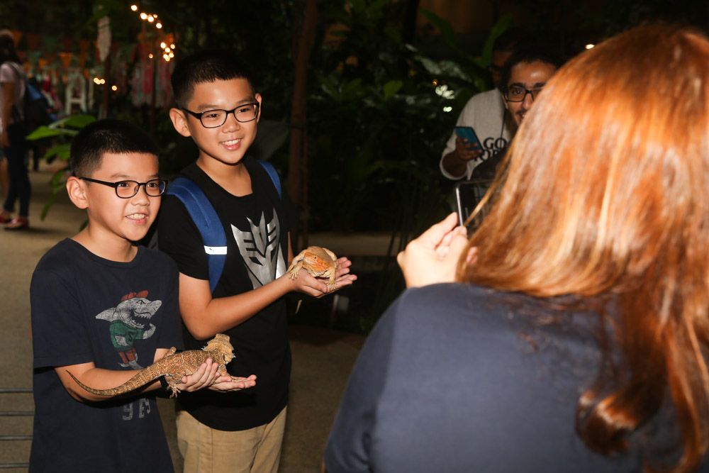 Visitors having fun at the petting zoo at the Rainforest Wonder Festival at 1 Utama Shopping Centre. — Picture by Choo Choy May