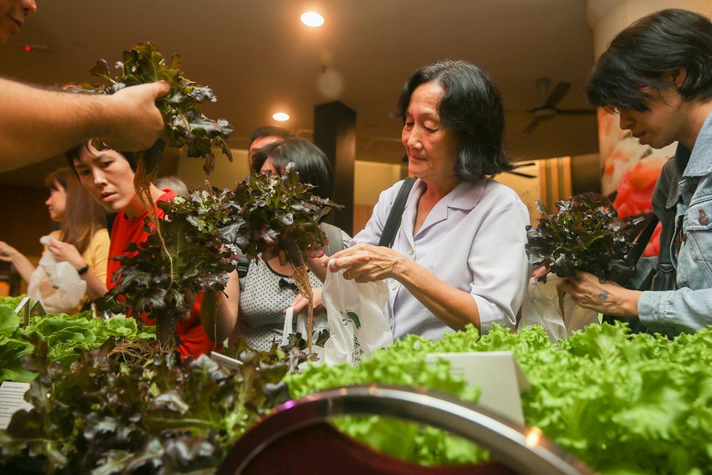 Shoppers got to take home a pesticide-free vegetable of their choice as part of the ‘Farm to Plate: Salad Making and Growing Vegetables’ workshop. — Picture by Choo Choy May