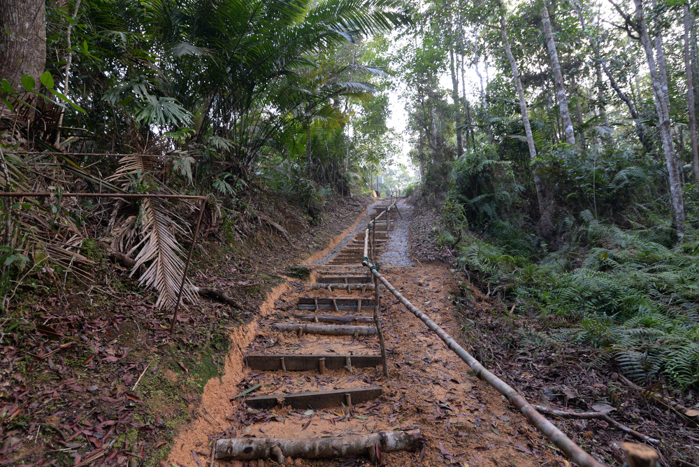 The hiking trail along Moniot Road leading up to the Penang Hill is almost 200 yearsu00e2u20acu2122 old! u00e2u20acu201d Picture by KE Ooi