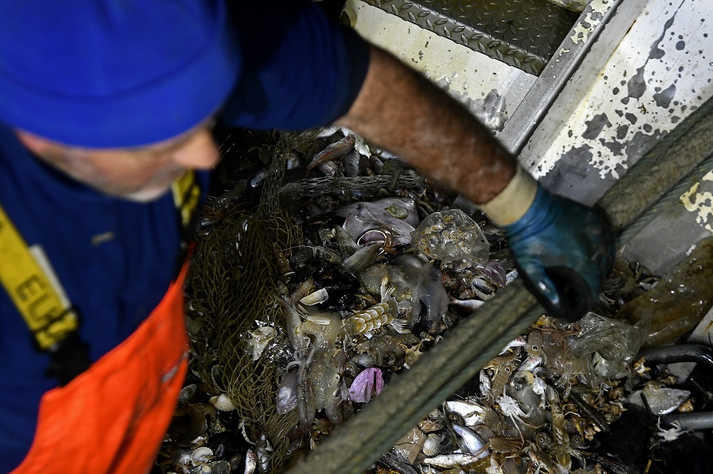 In this photograph taken on May 23, 2019, a fishermen recovers plastic waste from a fishing net onboard a fishing boat off the coast of San Benedetto del Tronto. u00e2u20acu2022 AFP pic        