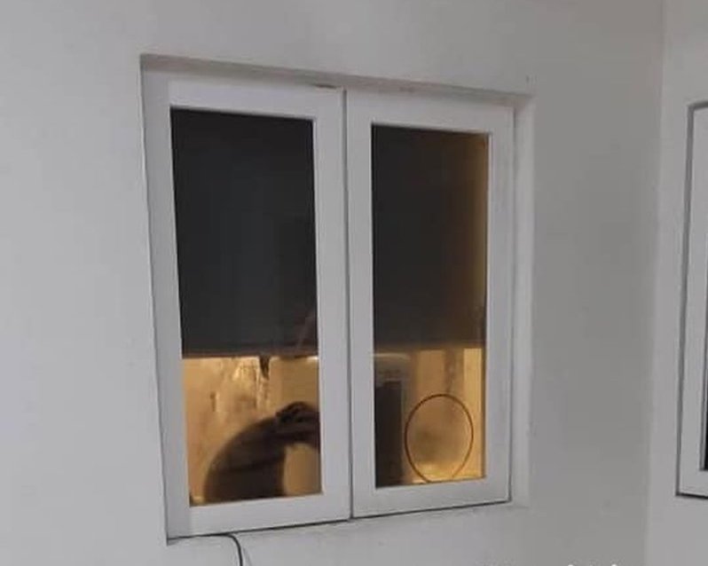 A sun bear cub was spotted in a unit at the Desa Pandan condominium in Kuala Lumpur. u00e2u20acu2022 Picture via Facebook/Choong Jee Yann