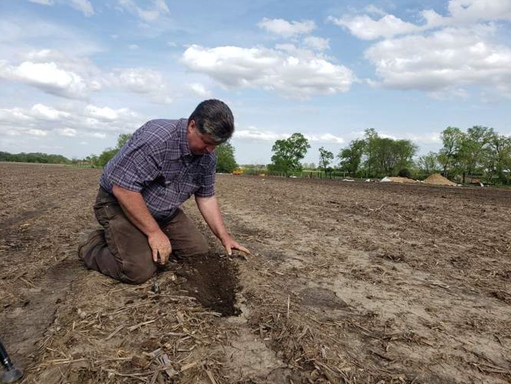 Soybean farmer Dave Walton kneels in a field in Wilton, Iowa, US, May 22, 2019. u00e2u20acu201d Reuters pic