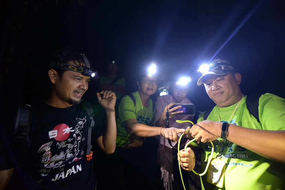 KP Ong shows the Oriental Vine snake to the walk participants as Abdul Muin (left) explains about the snake. u00e2u20acu201d Pictures by Steven Ooi KE
