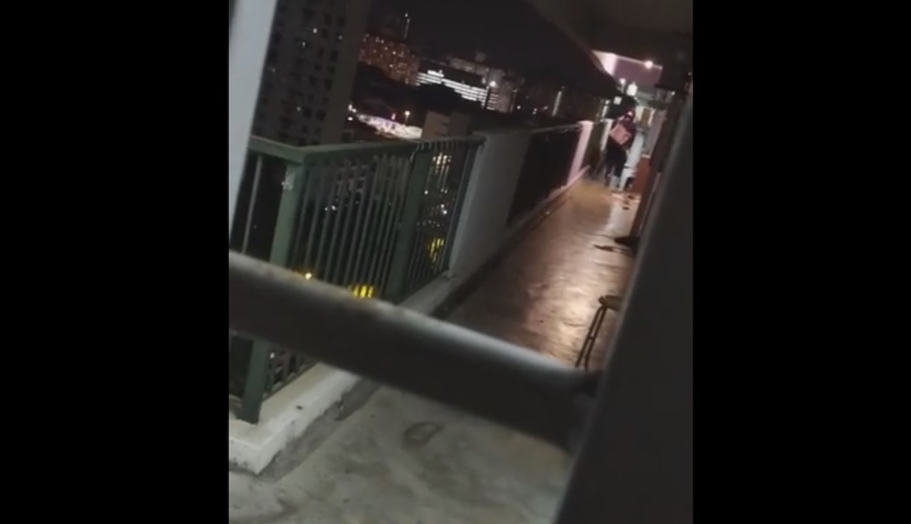 The eight-second video has been viewed 74,000 times and gained over 700 shares so far. u00e2u20acu201d Screencapture from Facebook video/Baliami Conmigo 