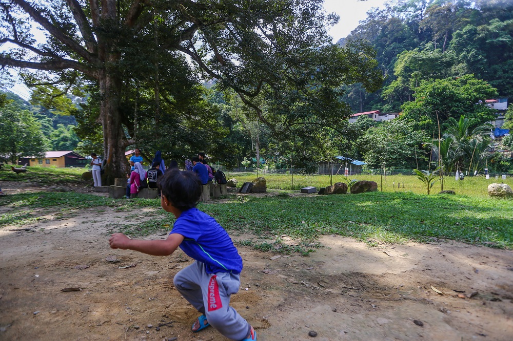 The farm’s idyllic atmosphere makes it ideal for a weekend visit with the family. 