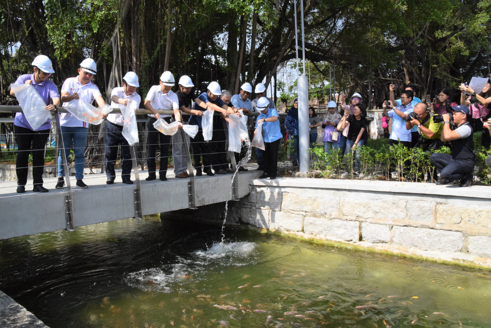 Penang Chief Minister Chow Kon Yeow (3rd left), assemblymen and those from the state government adding fishes to the newly restored Prangin Canal last weekend. u00e2u20acu201d Picture courtesy of George Town World Heritage Incorporated (GTWHI)