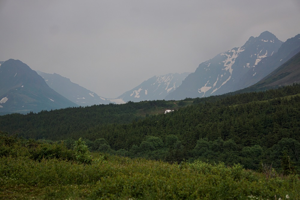 A general view of the mountain valley obscured by smoke taken from the Glen Alps trailhead of Chugach State Park in Anchorage, Alaska June 29, 2019. u00e2u20acu201d Reuters pic