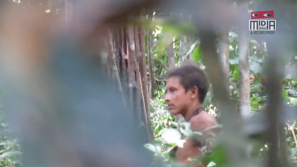 A screengrab from Survival Internationalu00e2u20acu2122s Twitter shows an Awa tribe member in the woods in Brazil.